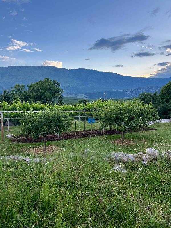 Danilovgrad, plac sa kućom 30000m²